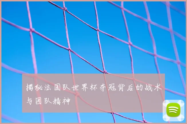 揭秘法国队世界杯夺冠背后的战术与团队精神
