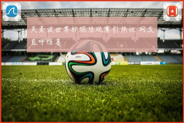 吴秀波世界杯现场观赛引热议 网友直呼惊喜