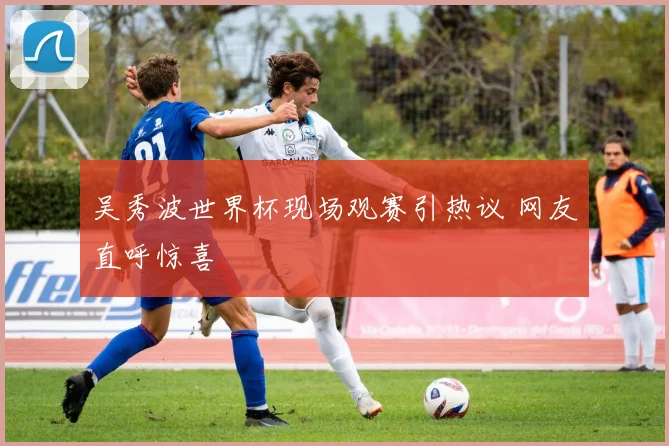 吴秀波世界杯现场观赛引热议 网友直呼惊喜