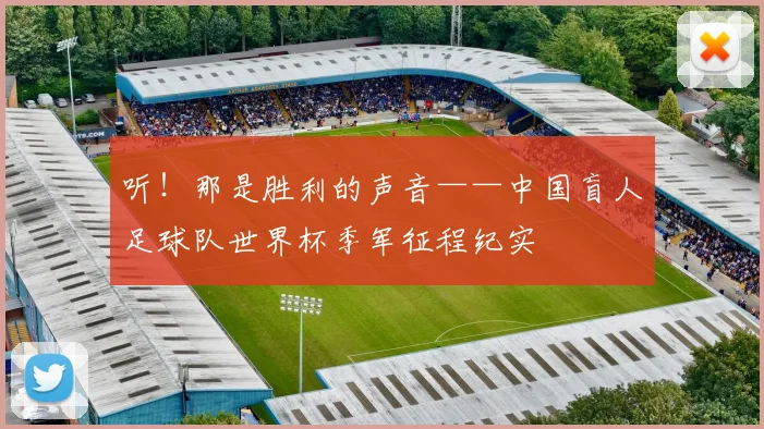听！那是胜利的声音——中国盲人足球队世界杯季军征程纪实