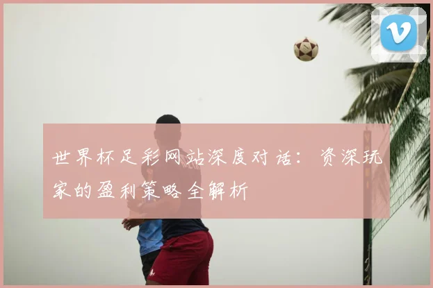 世界杯足彩网站深度对话：资深玩家的盈利策略全解析