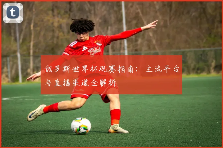 俄罗斯世界杯观赛指南：主流平台与直播渠道全解析
