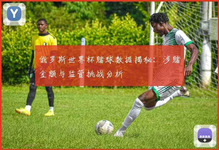俄罗斯世界杯赌球数据揭秘：涉赌金额与监管挑战分析
