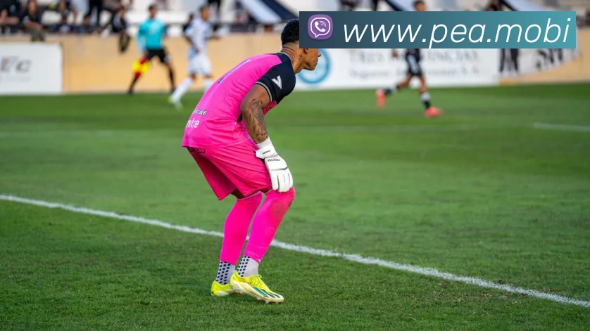 App Interface Preview