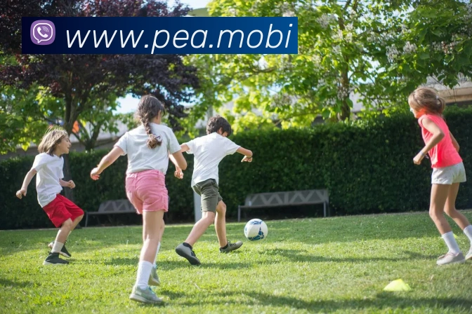 开云手机登录官网APP 封面图